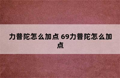 力普陀怎么加点 69力普陀怎么加点